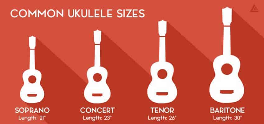 ไซส์อูคูเลเล่-ukulele-size