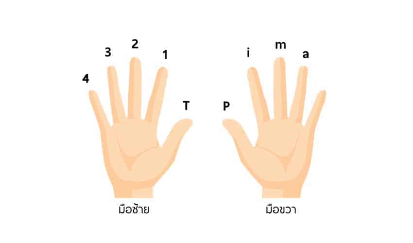 ตำแหน่งมือซ้าย-มือขวา